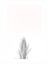 Kumrular - Art Print